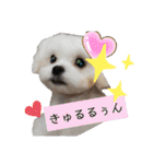 ren's original stamp 2（個別スタンプ：21）
