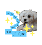 ren's original stamp 2（個別スタンプ：22）
