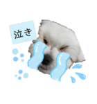 ren's original stamp 2（個別スタンプ：23）