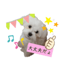 ren's original stamp 2（個別スタンプ：24）