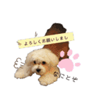 ren's original stamp 2（個別スタンプ：25）