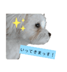 ren's original stamp 2（個別スタンプ：26）