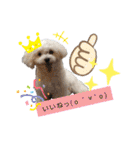 ren's original stamp 2（個別スタンプ：27）