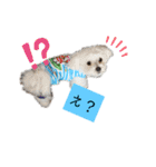ren's original stamp 2（個別スタンプ：29）