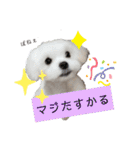 ren's original stamp 2（個別スタンプ：30）