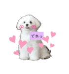 ren's original stamp 2（個別スタンプ：33）