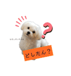 ren's original stamp 2（個別スタンプ：36）