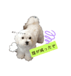 ren's original stamp 2（個別スタンプ：39）