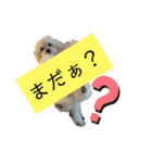 ren's original stamp 2（個別スタンプ：40）