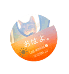 ねこのぽぽちゃん【日常すたんぷ】（個別スタンプ：2）