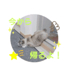 だるの使えるスタンプ（個別スタンプ：8）