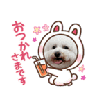 麦ちゃんのスタンプ作ったよ〜その2（個別スタンプ：2）