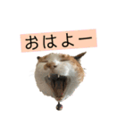 我が家のびびちゃん（個別スタンプ：2）
