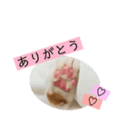 我が家のびびちゃん（個別スタンプ：5）