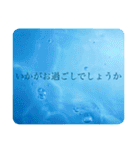 水 敬語 日常使い（個別スタンプ：9）