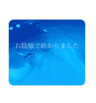 水 敬語 日常使い（個別スタンプ：12）