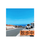 Alohaとマスク（個別スタンプ：11）