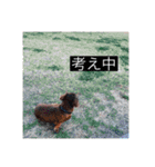 Alohaとマスク（個別スタンプ：14）