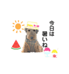 ウェルシュテリア ♡ジェリーさんの1日⑧（個別スタンプ：4）