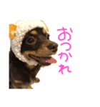アネラ日記（個別スタンプ：1）