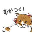 あいさつねこたち（個別スタンプ：7）