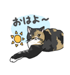 あいさつねこたち（個別スタンプ：27）