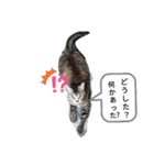 ガブリンチョ（個別スタンプ：3）