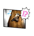 ガブリンチョ（個別スタンプ：13）