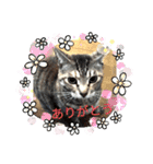 ガブリンチョ（個別スタンプ：14）