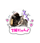 ガブリンチョ（個別スタンプ：17）