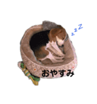 めんこなんスタンプ（個別スタンプ：2）