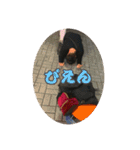 今日どこ飲みに行く❔（個別スタンプ：12）