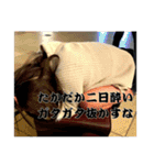 今日どこ飲みに行く❔（個別スタンプ：15）