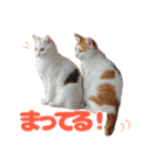 とのとうーちゃん（個別スタンプ：2）