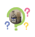 かわいい動物ですネ（個別スタンプ：4）