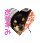 トロのあいさつ（個別スタンプ：5）
