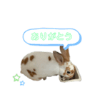 ミニレッキスのだいふくちゃん（個別スタンプ：7）