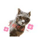 あいらぶスーちゃん（個別スタンプ：14）