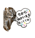 あいらぶスーちゃん（個別スタンプ：23）
