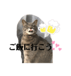 あいらぶスーちゃん（個別スタンプ：27）