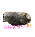 あいらぶスーちゃん（個別スタンプ：32）
