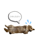 ありすのにちじょう（個別スタンプ：8）
