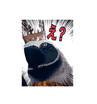 しえと高林だよ(・ω・)ʕ•ᴥ•ʔ（個別スタンプ：6）