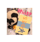 しえと高林だよ(・ω・)ʕ•ᴥ•ʔ（個別スタンプ：7）