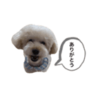 たからっぴ（個別スタンプ：2）
