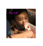hiyu  Part3（個別スタンプ：1）