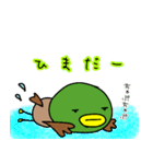 お魚好きな☆カモとくま（個別スタンプ：29）