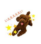 ショウガのまいにち（個別スタンプ：7）