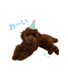 ショウガのまいにち（個別スタンプ：16）