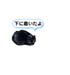 ニロスタンプ  習い事編（個別スタンプ：3）